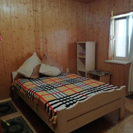 Білий Лебідь Pulemets מראה חיצוני תמונה