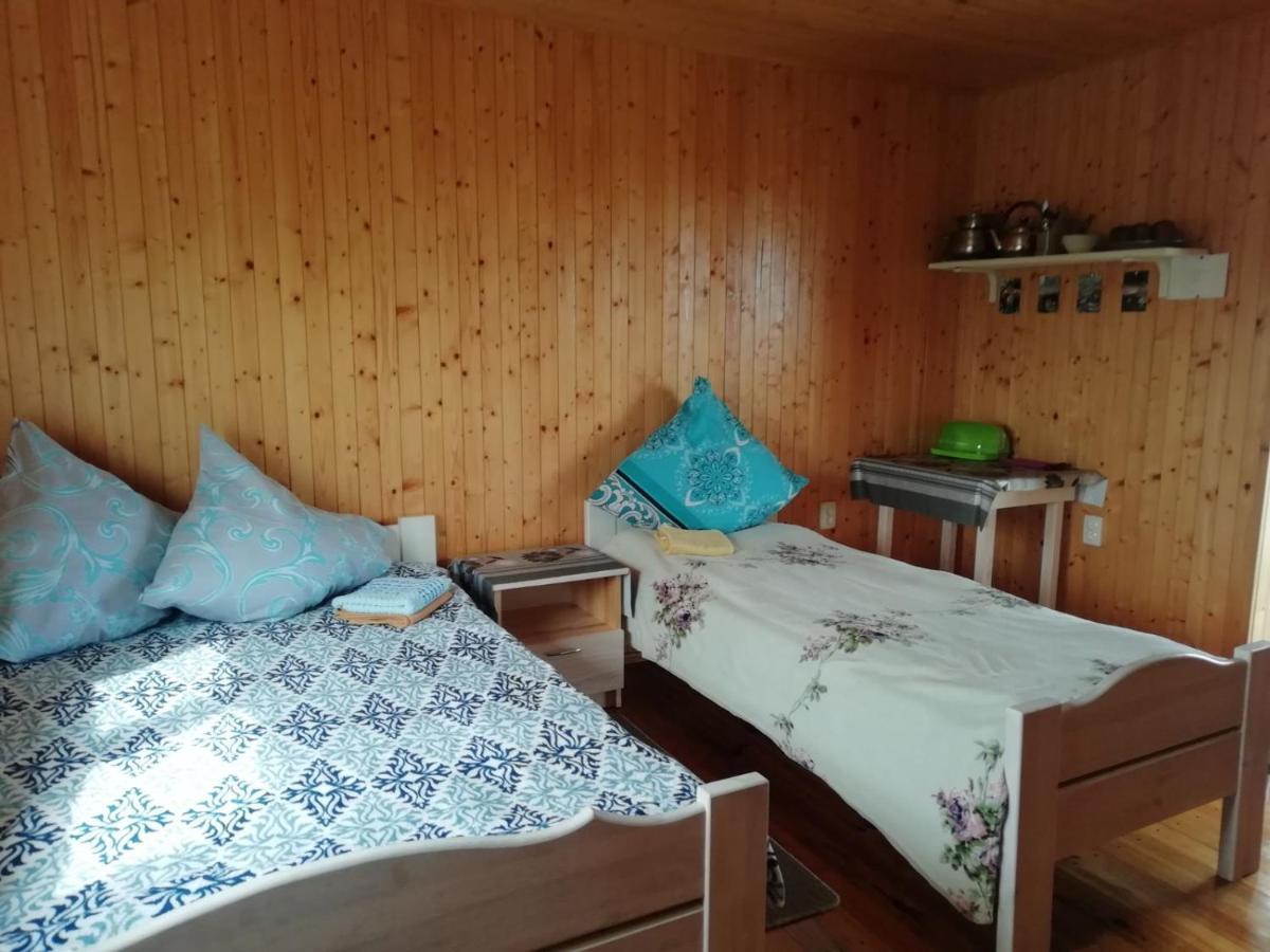 Білий Лебідь Pulemets מראה חיצוני תמונה